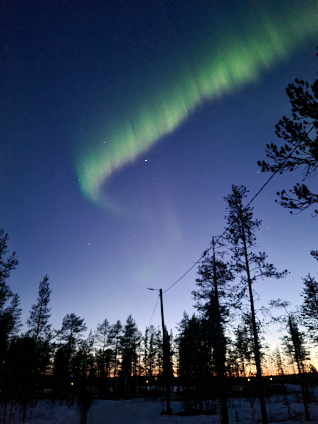 Aurora borealis over pine forest in Finland